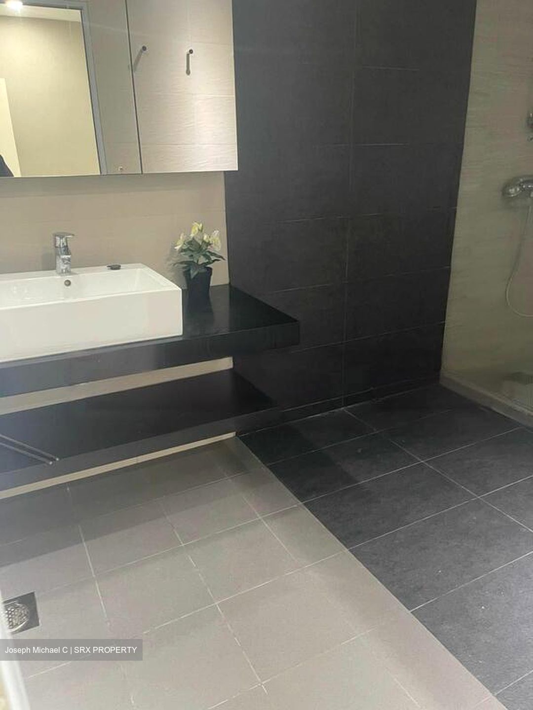 Cascadale (D16), Condominium #466452921